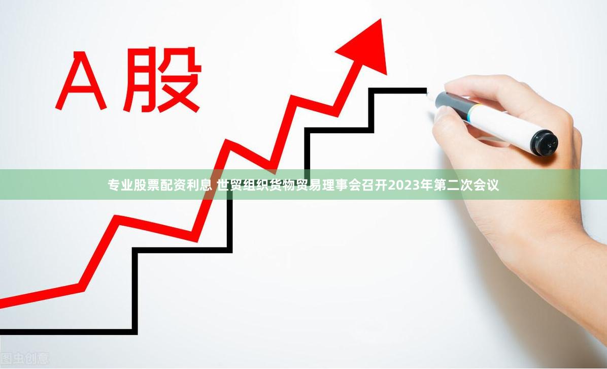 专业股票配资利息 世贸组织货物贸易理事会召开2023年第二次会议